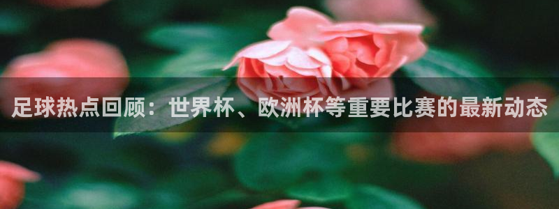 足球热点回顾：世界杯、欧洲杯等重要比赛的最新动态