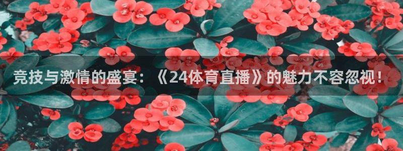 竞技与激情的盛宴：《24体育直播》的魅力不容忽视！