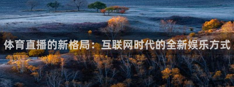 体育直播的新格局：互联网时代的全新娱乐方式