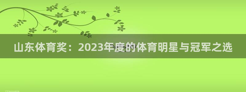 山东体育奖：2023年度的体育明星与冠军之选