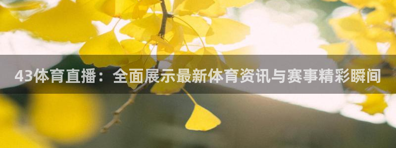 43体育直播：全面展示最新体育资讯与赛事精彩瞬间