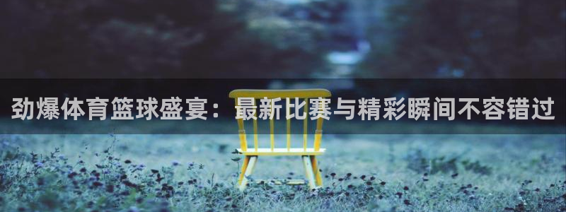 劲爆体育篮球盛宴：最新比赛与精彩瞬间不容错过