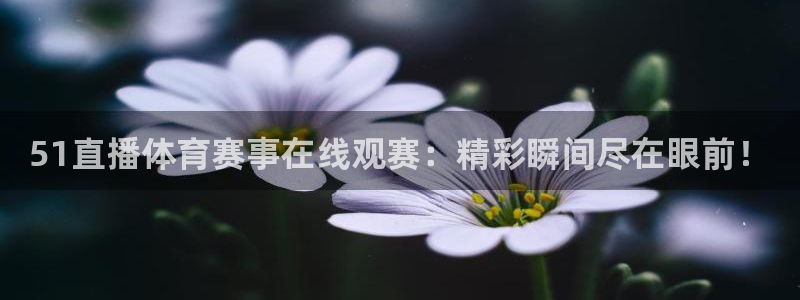 51直播体育赛事在线观赛：精彩瞬间尽在眼前！