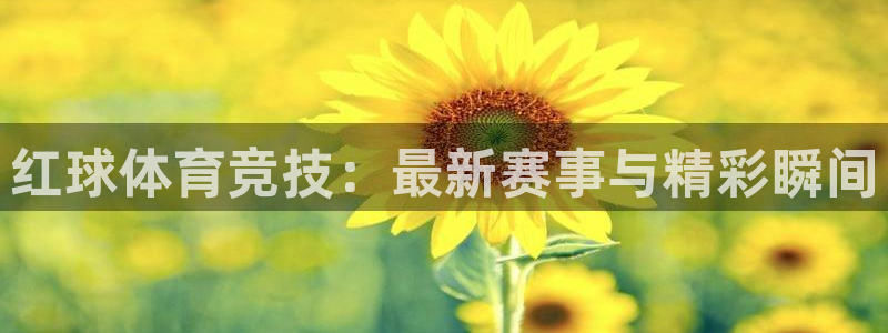红球体育竞技：最新赛事与精彩瞬间