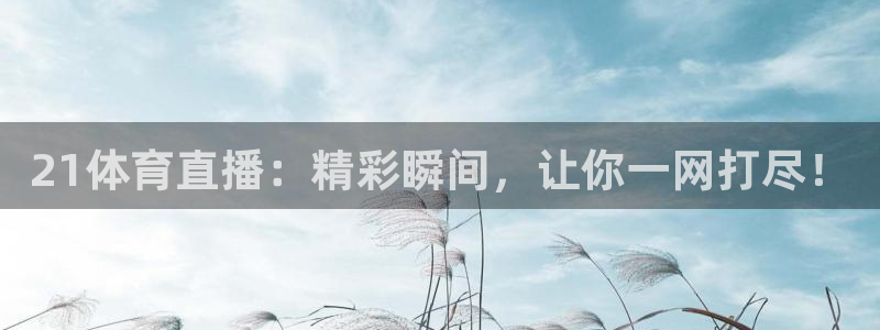 21体育直播：精彩瞬间，让你一网打尽！
