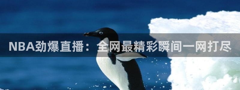 NBA劲爆直播：全网最精彩瞬间一网打尽