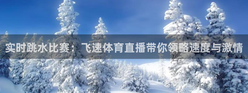 实时跳水比赛：飞速体育直播带你领略速度与激情
