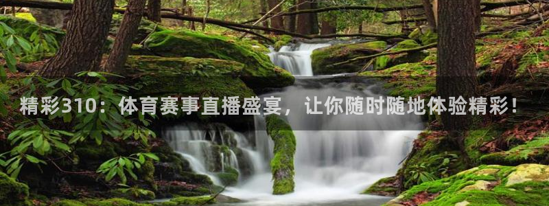 精彩310：体育赛事直播盛宴，让你随时随地体验精彩！