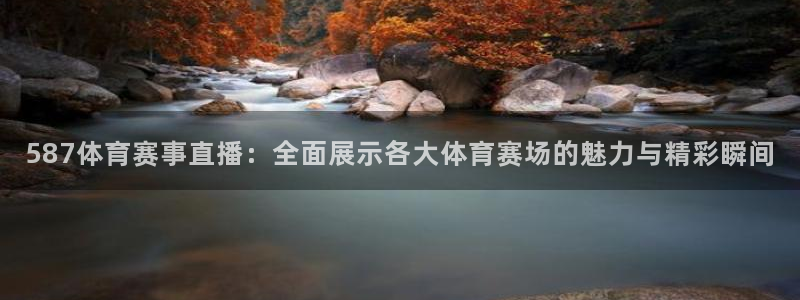 587体育赛事直播：全面展示各大体育赛场的魅力与精彩瞬间