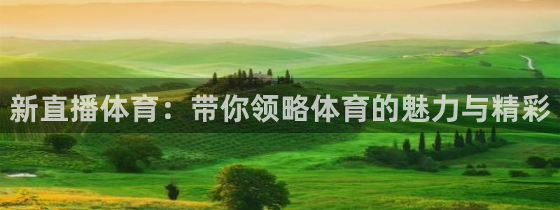 新直播体育：带你领略体育的魅力与精彩