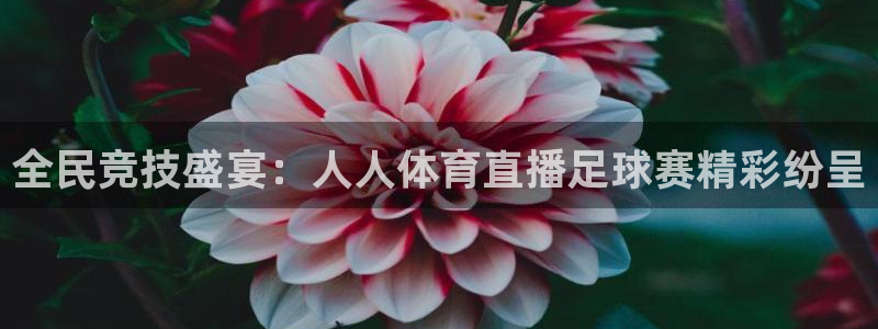 全民竞技盛宴：人人体育直播足球赛精彩纷呈