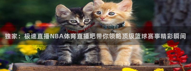 独家：极速直播NBA体育直播吧带你领略顶级篮球赛事精彩瞬间