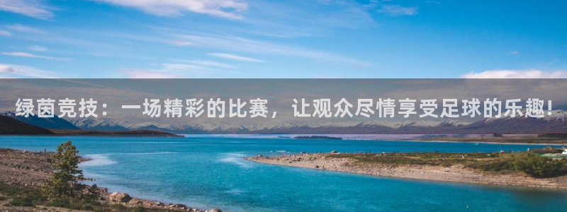 绿茵竞技：一场精彩的比赛，让观众尽情享受足球的乐趣!