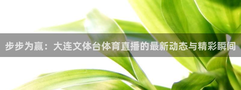 步步为赢：大连文体台体育直播的最新动态与精彩瞬间