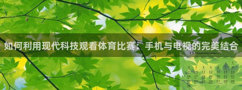 如何利用现代科技观看体育比赛：手机与电视的完美结合