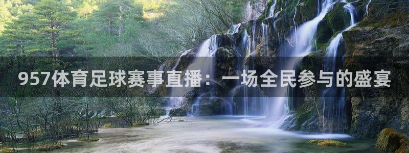 957体育足球赛事直播：一场全民参与的盛宴