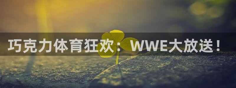 巧克力体育狂欢：WWE大放送！