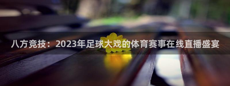 八方竞技：2023年足球大戏的体育赛事在线直播盛宴