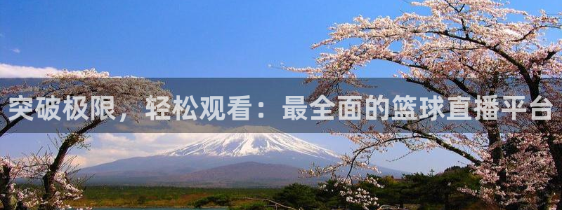突破极限，轻松观看：最全面的篮球直播平台