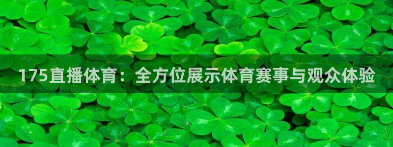 175直播体育：全方位展示体育赛事与观众体验