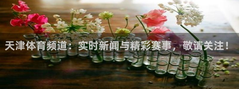 天津体育频道：实时新闻与精彩赛事，敬请关注！