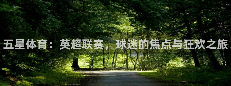 五星体育：英超联赛，球迷的焦点与狂欢之旅