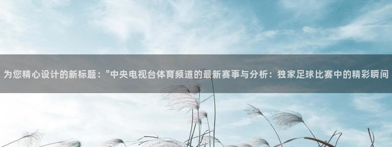 为您精心设计的新标题：\