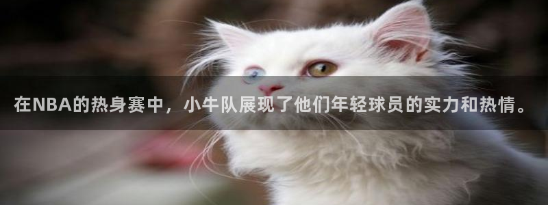 在NBA的热身赛中，小牛队展现了他们年轻球员的实力和热情。