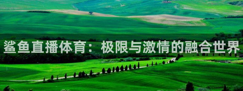 鲨鱼直播体育：极限与激情的融合世界