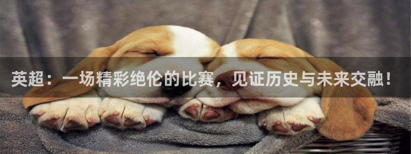 英超：一场精彩绝伦的比赛，见证历史与未来交融！