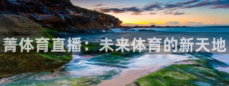 菁体育直播：未来体育的新天地