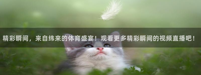 精彩瞬间，来自纬来的体育盛宴！观看更多精彩瞬间的视频直播吧！