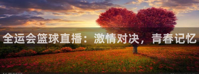 全运会篮球直播：激情对决，青春记忆