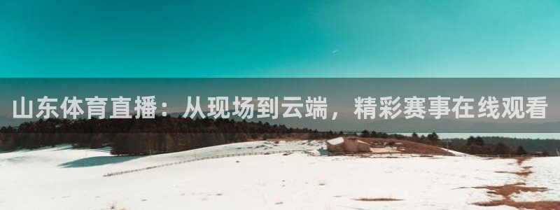 山东体育直播：从现场到云端，精彩赛事在线观看