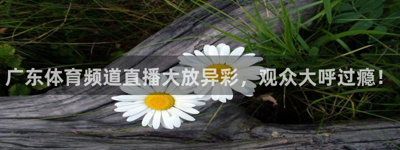 广东体育频道直播大放异彩，观众大呼过瘾！