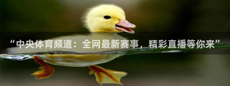 “中央体育频道：全网最新赛事，精彩直播等你来”