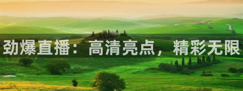 劲爆直播：高清亮点，精彩无限