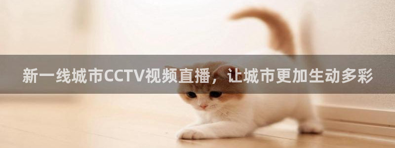 新一线城市CCTV视频直播，让城市更加生动多彩