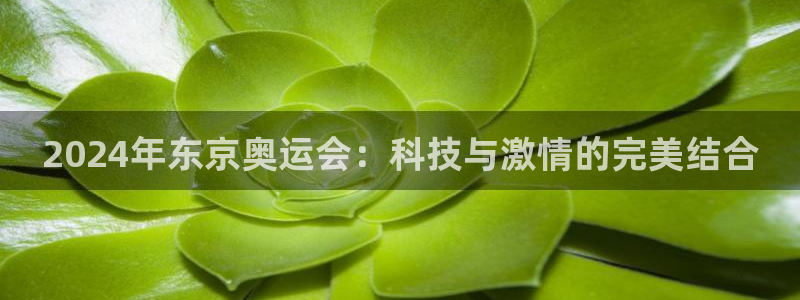 2024年东京奥运会：科技与激情的完美结合