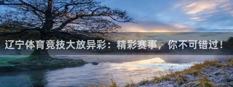 辽宁体育竞技大放异彩：精彩赛事，你不可错过！