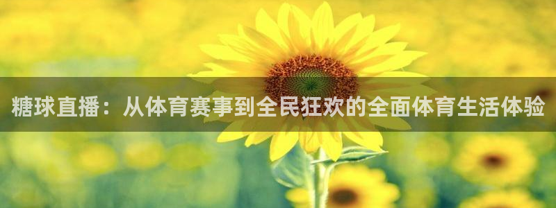 糖球直播：从体育赛事到全民狂欢的全面体育生活体验