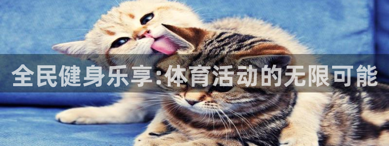 全民健身乐享:体育活动的无限可能
