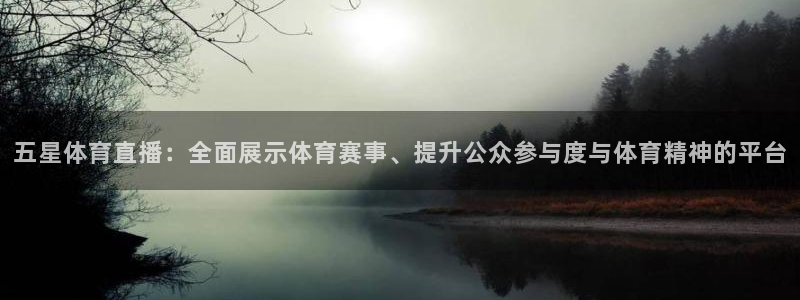 五星体育直播：全面展示体育赛事、提升公众参与度与体育精神的平台