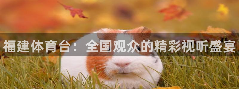福建体育台：全国观众的精彩视听盛宴