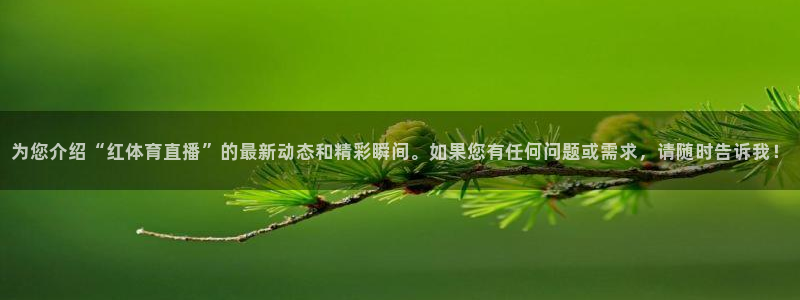 为您介绍“红体育直播”的最新动态和精彩瞬间。如果您有任何问题或需求，请随时告诉我！