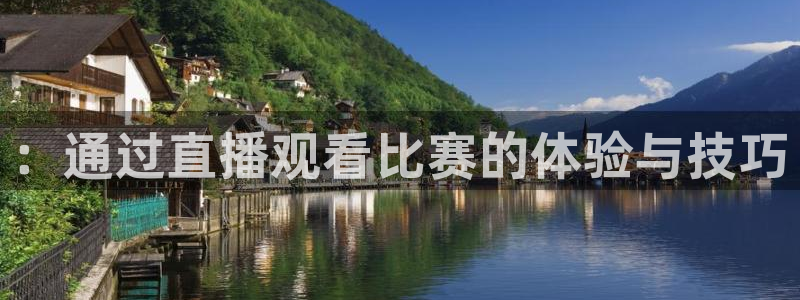 ：通过直播观看比赛的体验与技巧