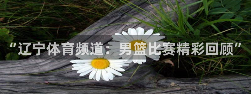 “辽宁体育频道：男篮比赛精彩回顾”