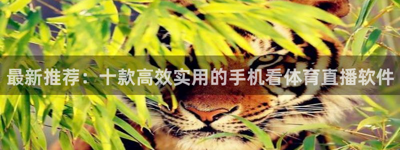 最新推荐：十款高效实用的手机看体育直播软件