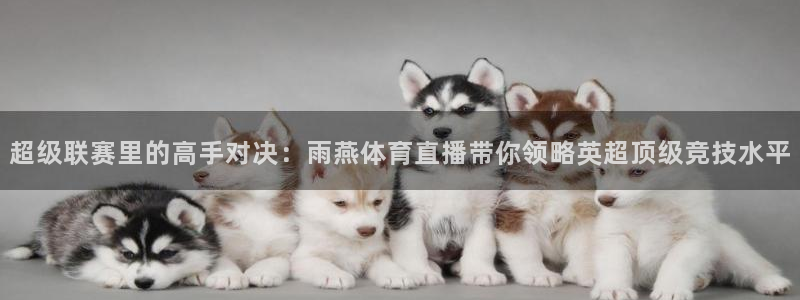 超级联赛里的高手对决：雨燕体育直播带你领略英超顶级竞技水平