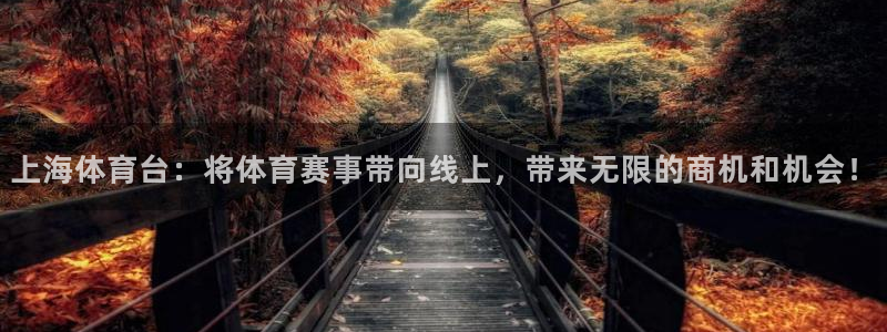 上海体育台：将体育赛事带向线上，带来无限的商机和机会！